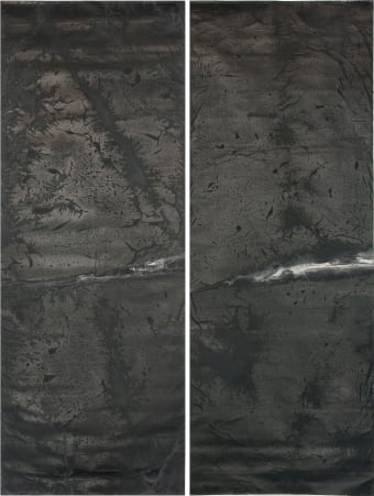Dark Vein Nos. 1–2 黑脉 1–2号, 2013 (plate 42)